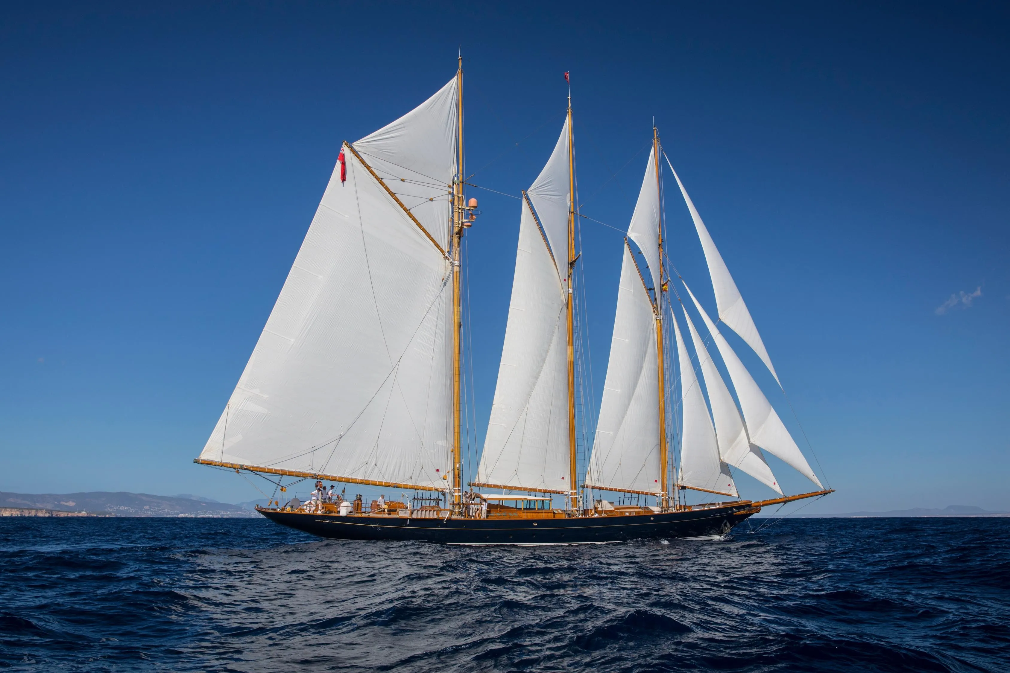Regatta in Marbella
